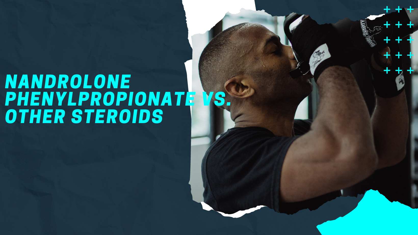 Nandrolone Phenylpropionate vs. Other Steroids